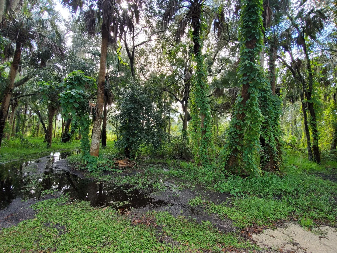 Photo of 1016 Gray Road