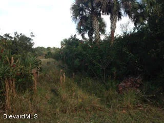 Photo of 3235 Corey Road