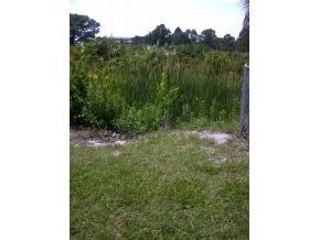Photo of 2394 NE Royal Palm