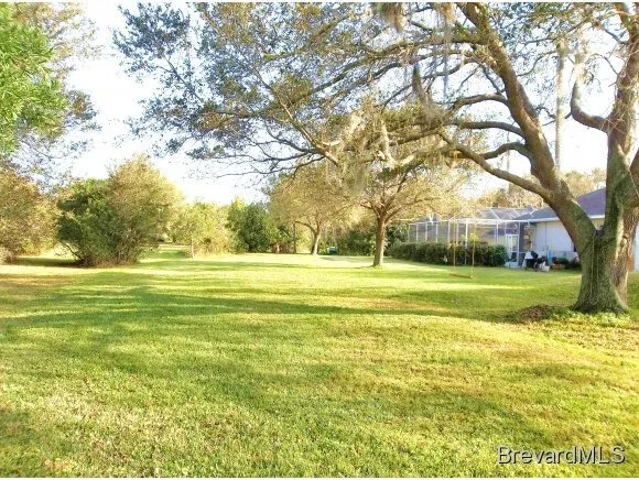 Photo of 4349 Davidia