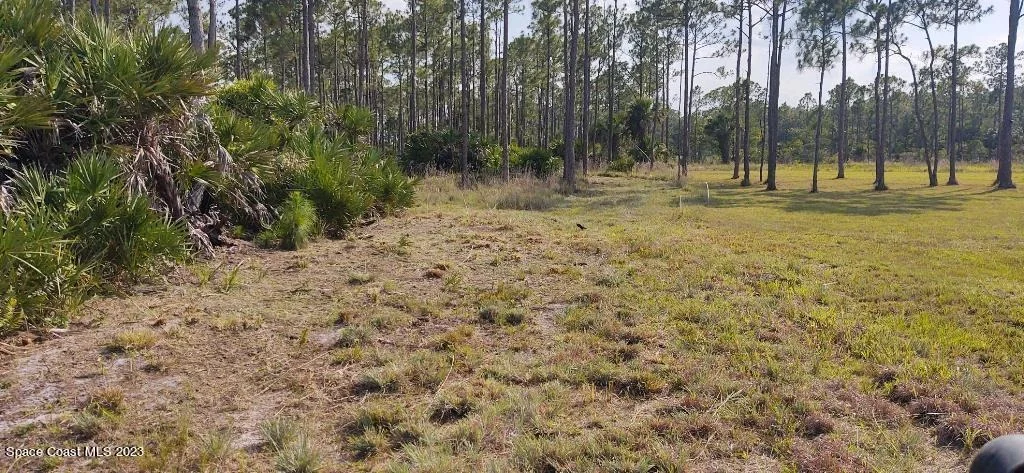 Photo of 7194 Orchid Tree Drive
