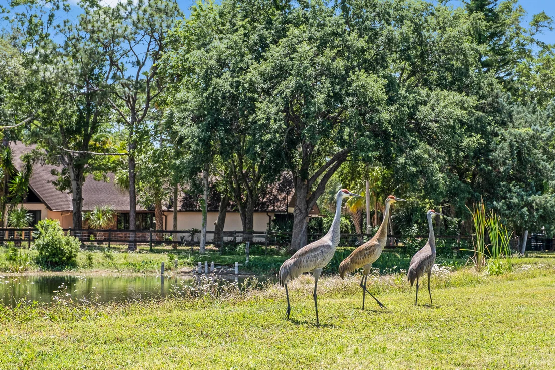 Photo of 5115 Ranchland Road
