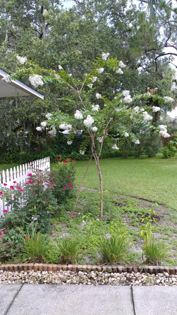 Photo of 362 Woods Lake Drive