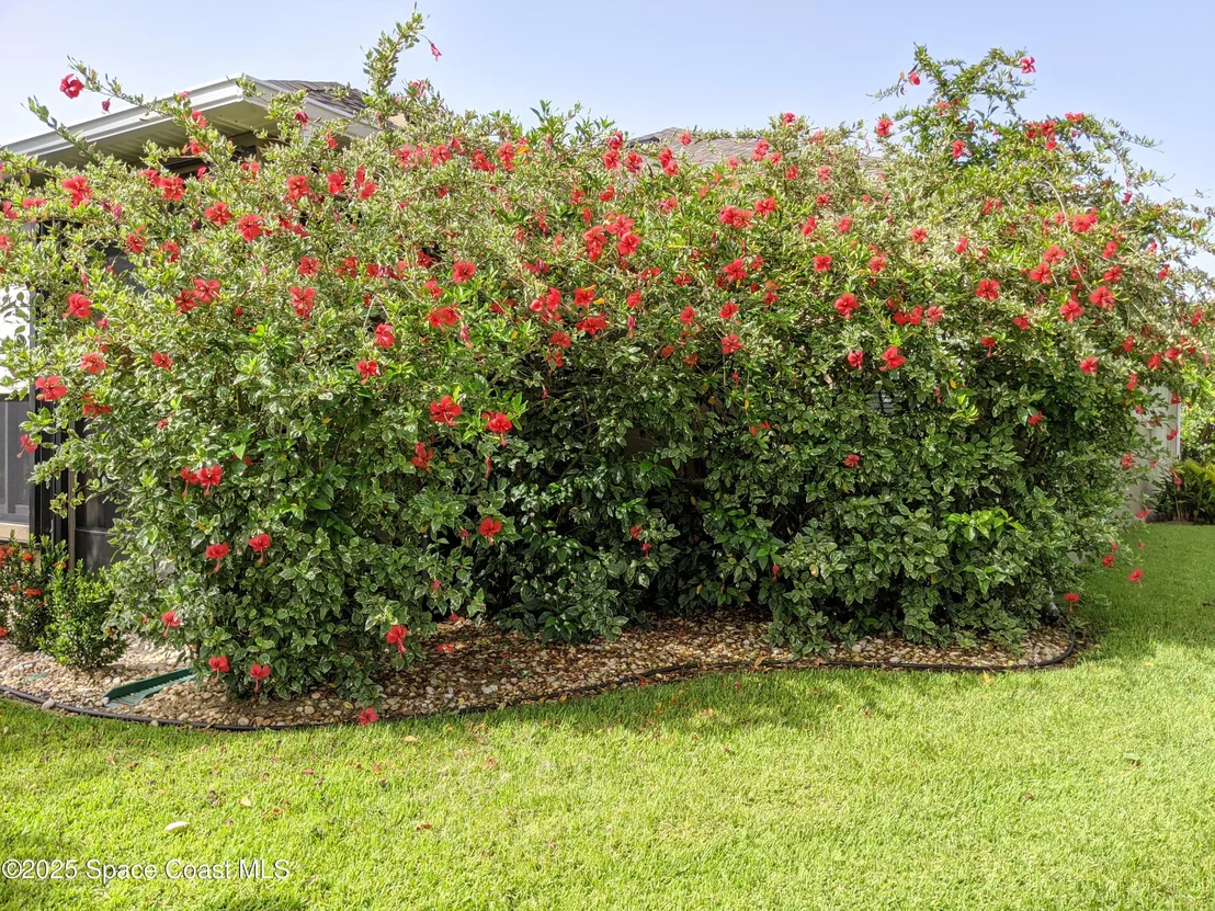 Photo of 6063 Goleta Circle