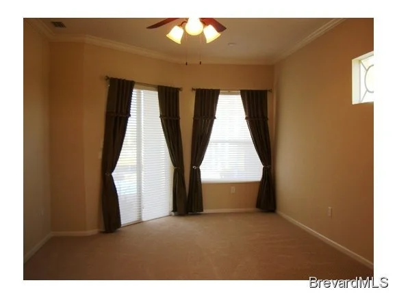Photo of 3623 Carambola