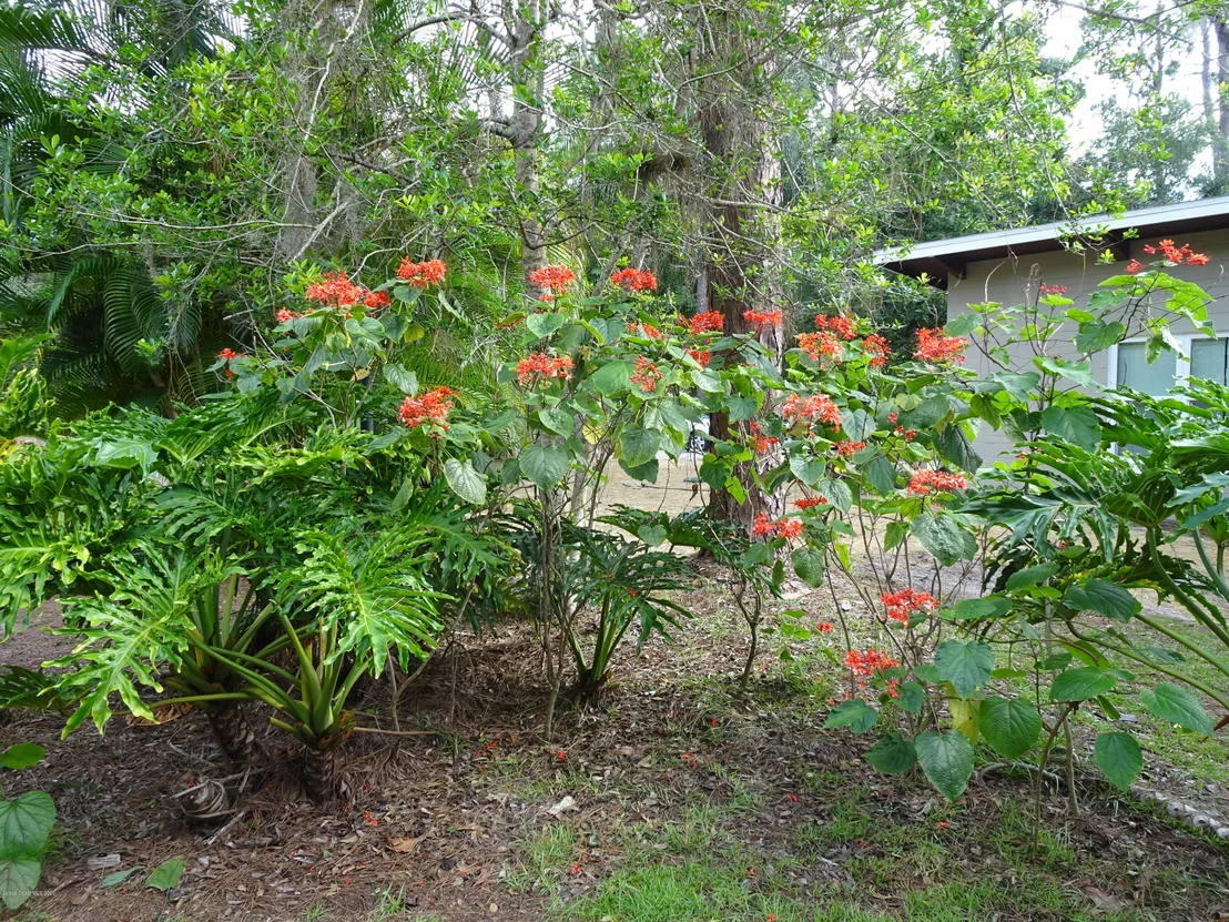 Photo of 5880 Crane Road