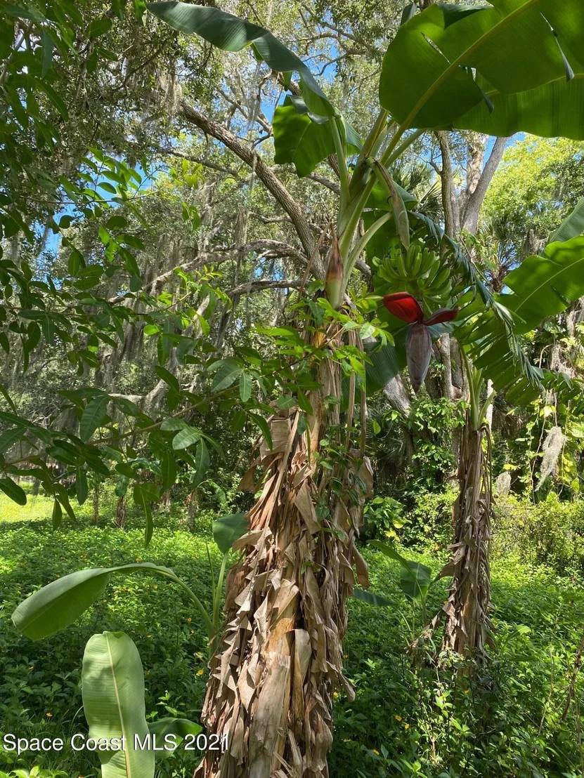 Photo of 4235 Indian River Drive