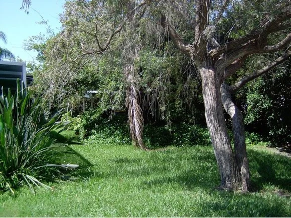 Photo of 1331 Estridge