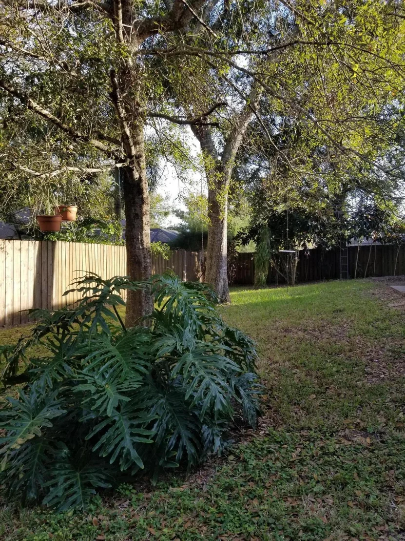 Photo of 336 Park Hill Boulevard
