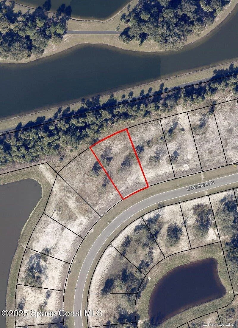 Photo of 1462 Lavender Drive
