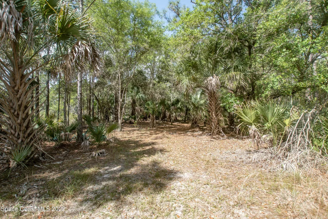 Photo of 1131 Owl Circle