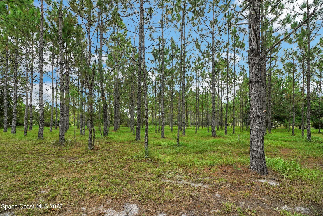 Photo of 1001 Shellcracker Road
