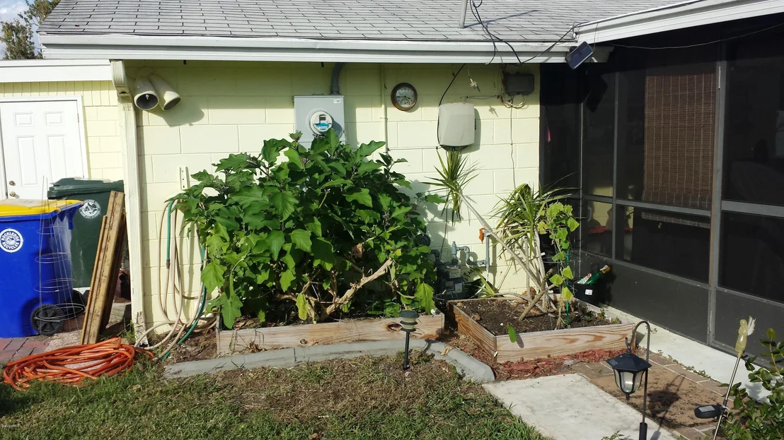 Photo of 973 Golf Street