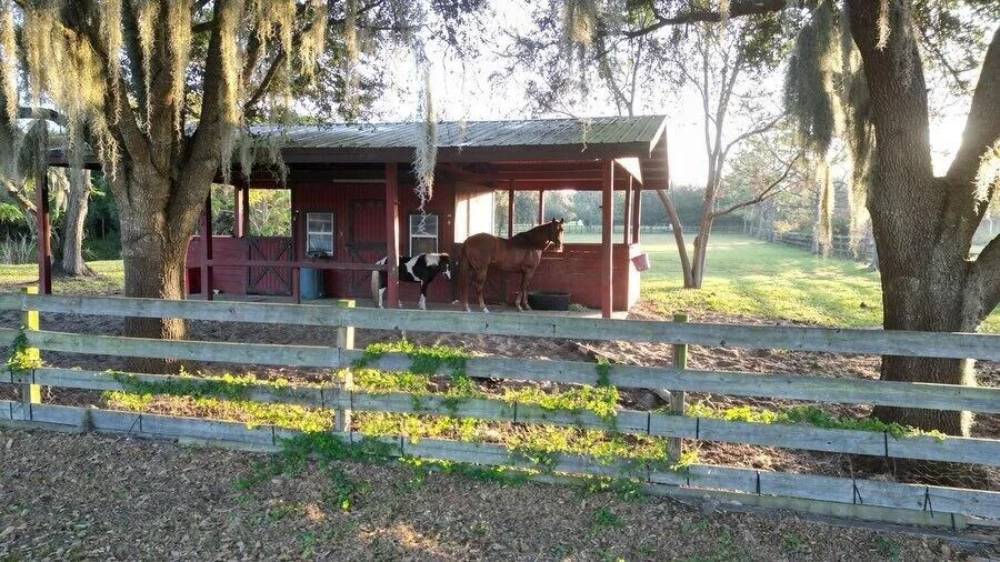 Photo of 5657 Dora Drive