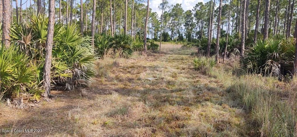 Photo of 7194 Orchid Tree Drive
