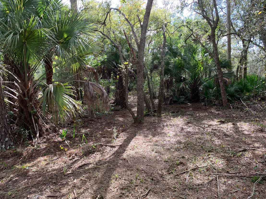 Photo of 2220 Satellite Boulevard