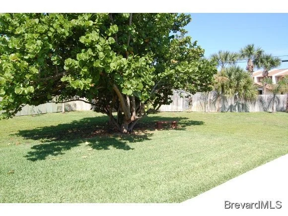 Photo of 106 Mayaca