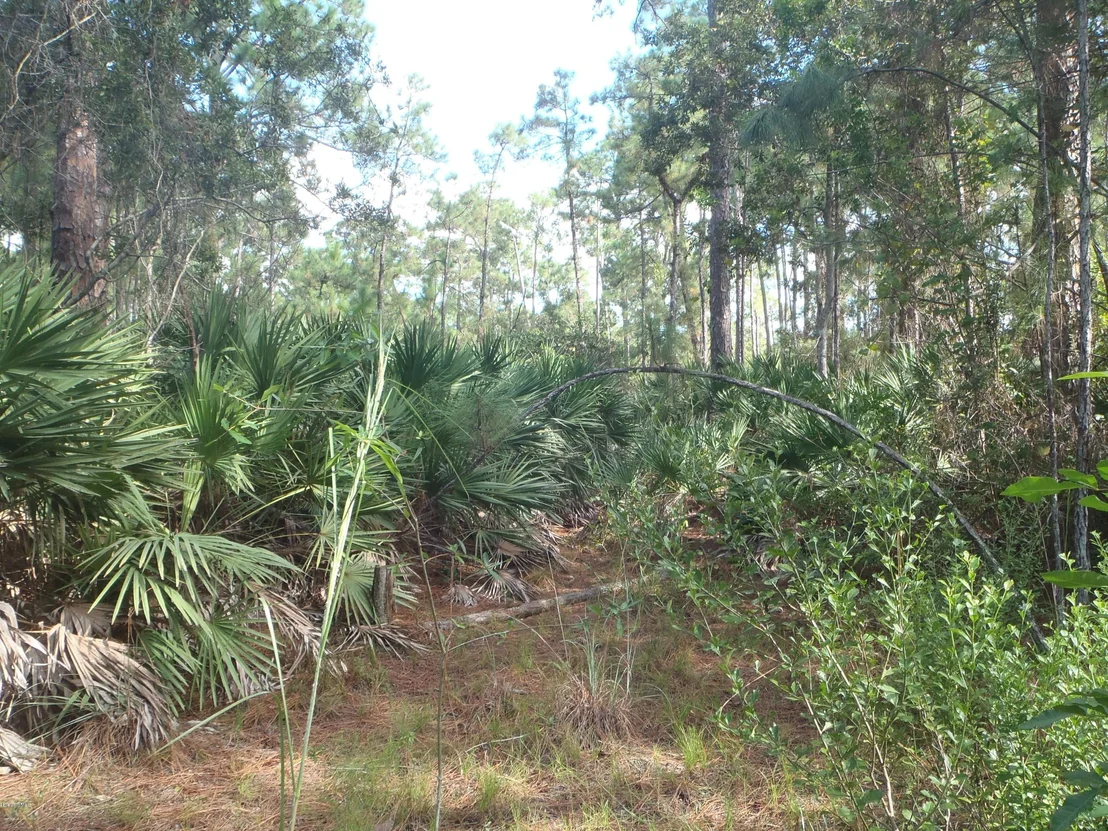 Photo of 4535 Rector Road