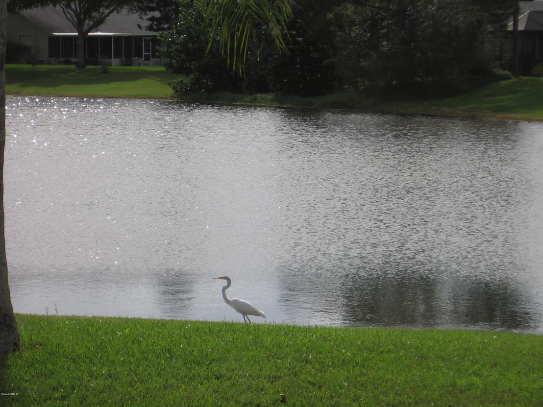 Photo of 3634 Heron Drive