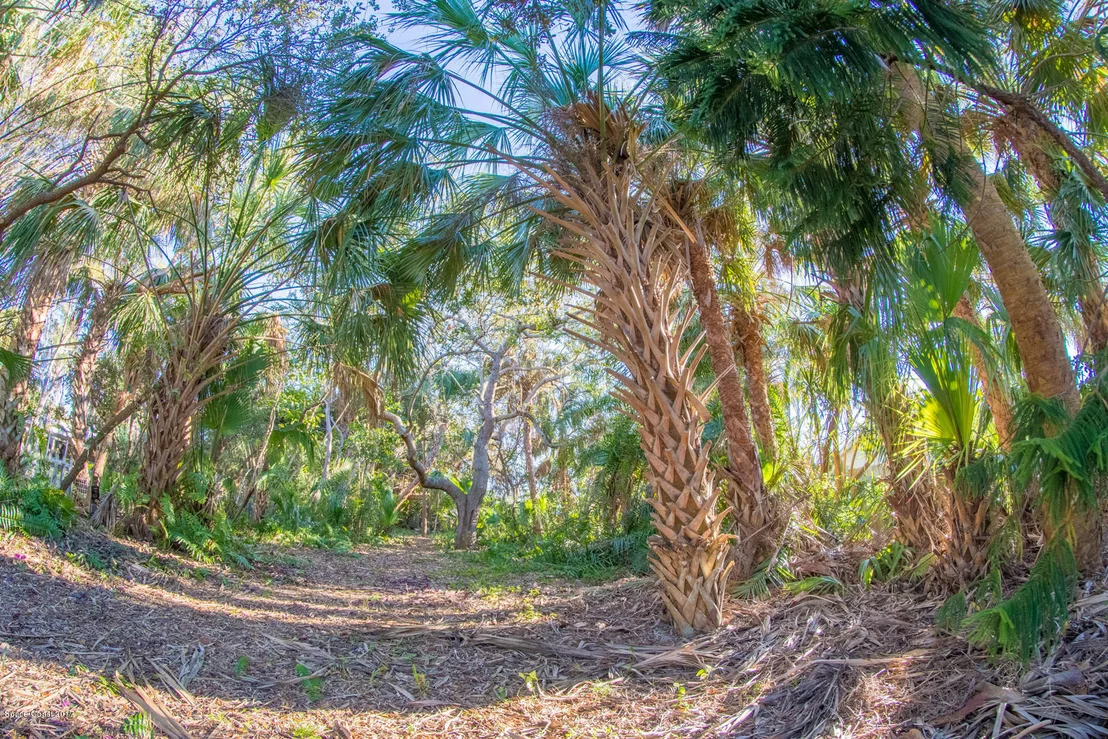 Photo of 403 Poinsettia Road