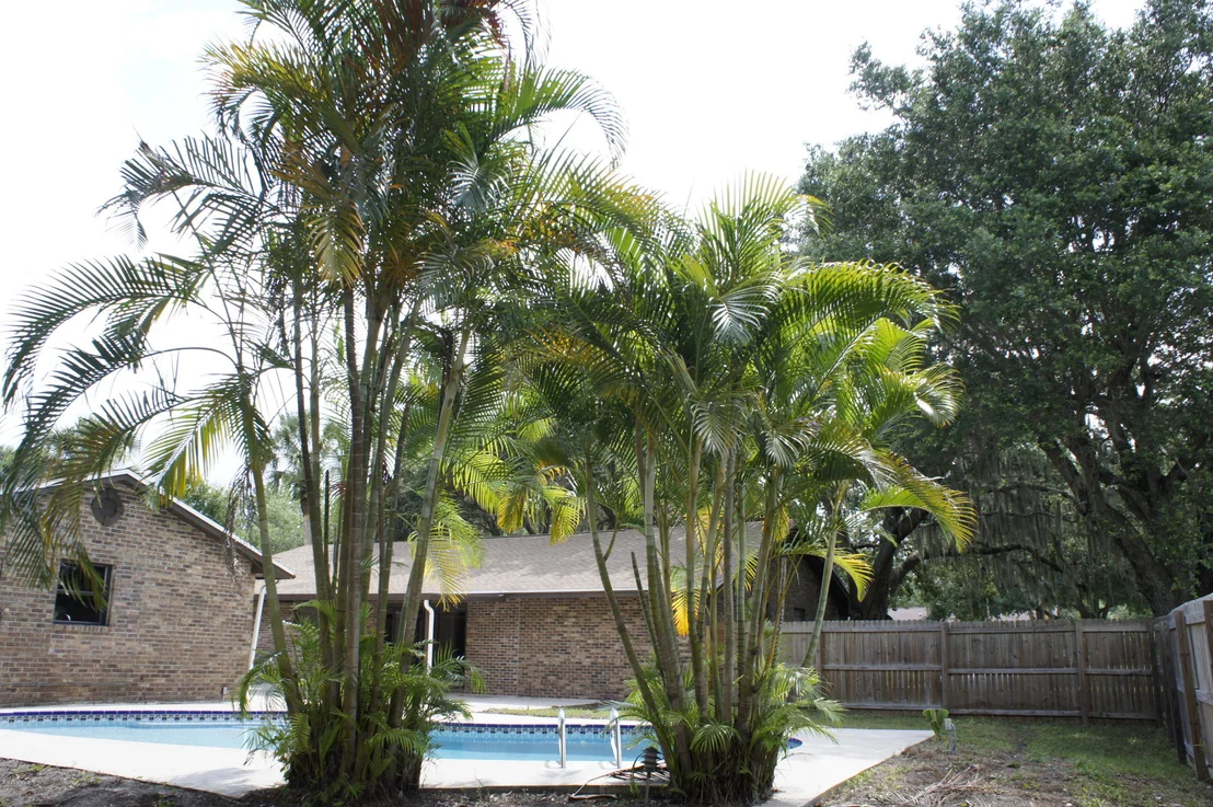 Photo of 1833 Oakwood