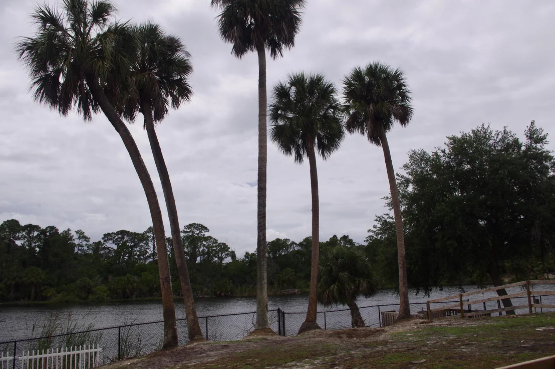 Photo of 355 N Gray Road