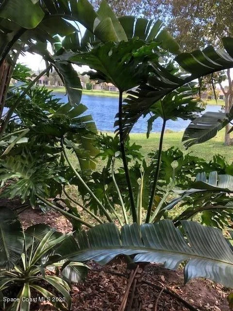 Photo of 485 Benton Drive