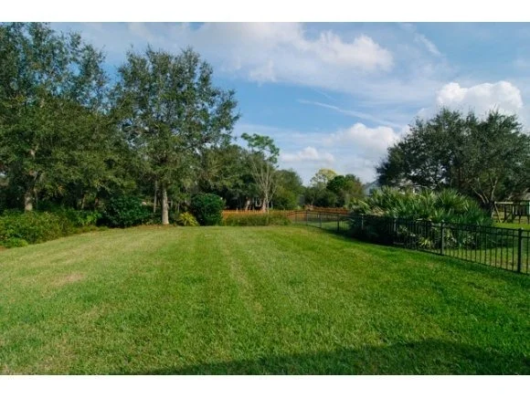 Photo of 4355 Davidia