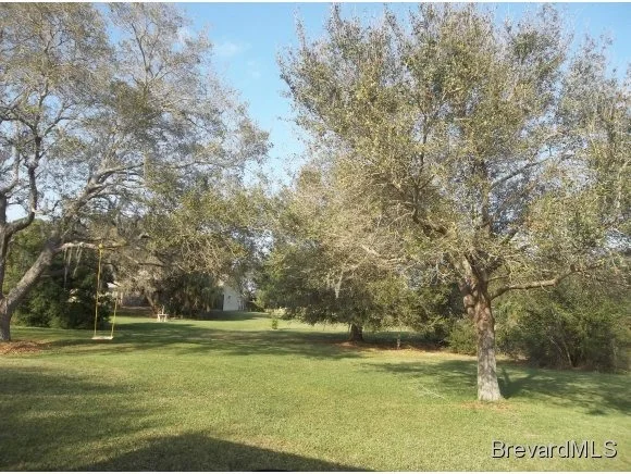Photo of 4349 Davidia