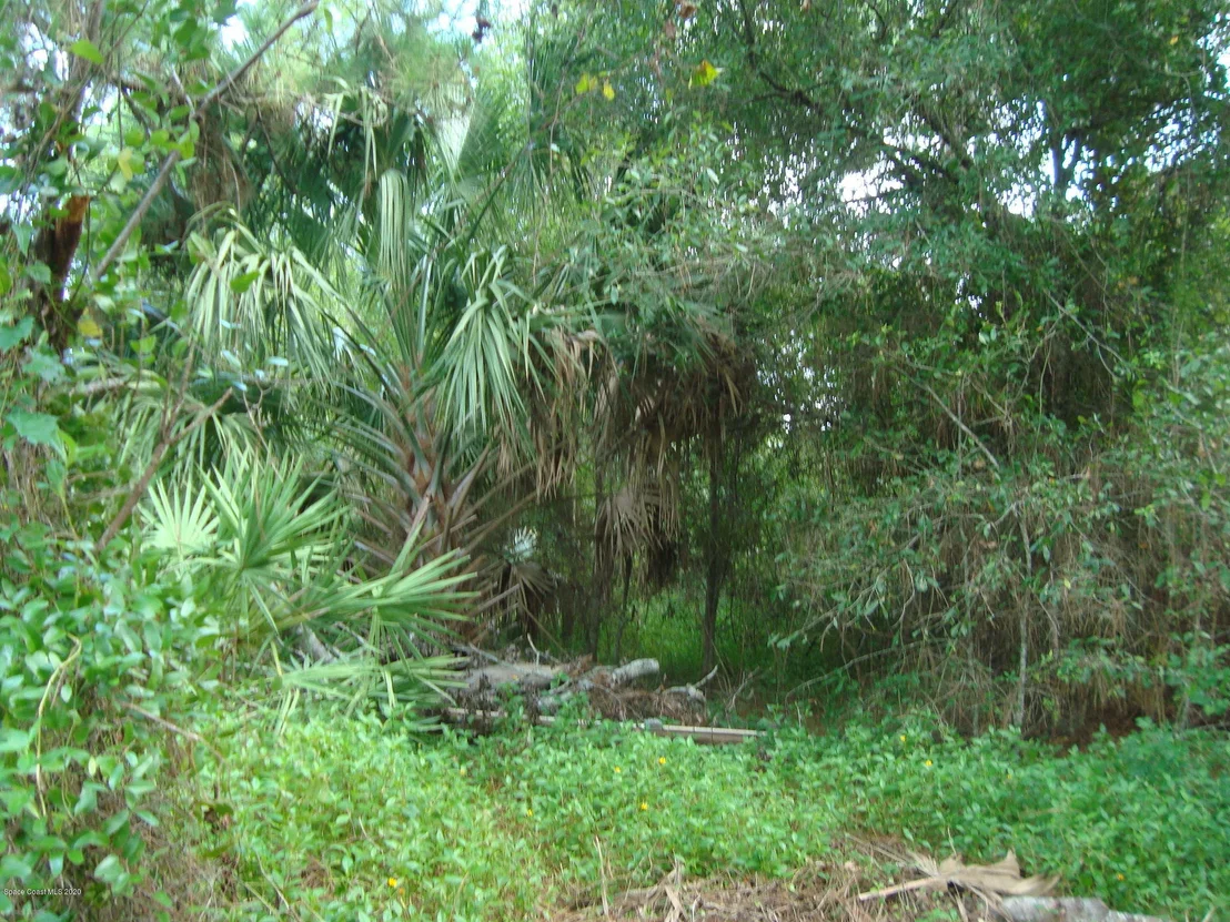 Photo of 665 Camp Road