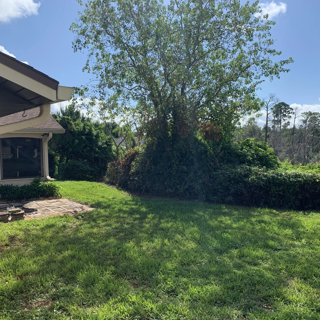 Photo of 3995 Tangle Drive