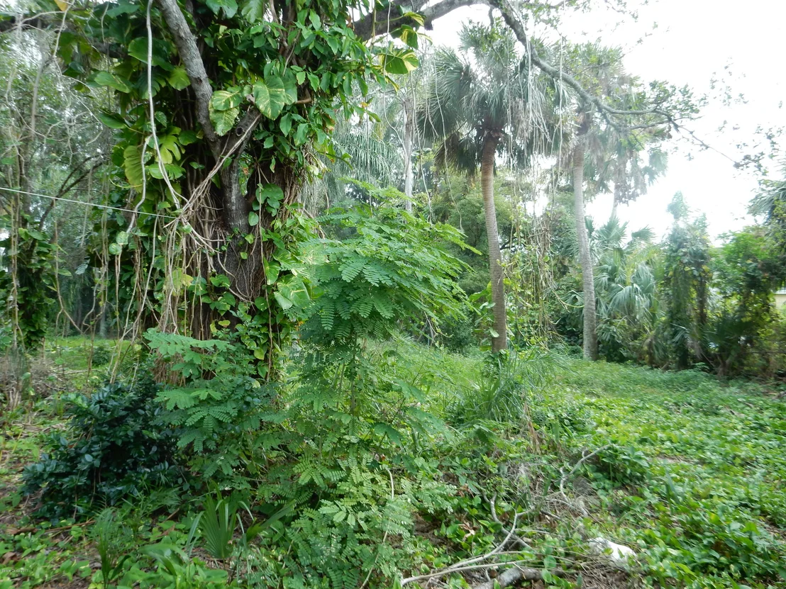 Photo of 2605 Dairy Road