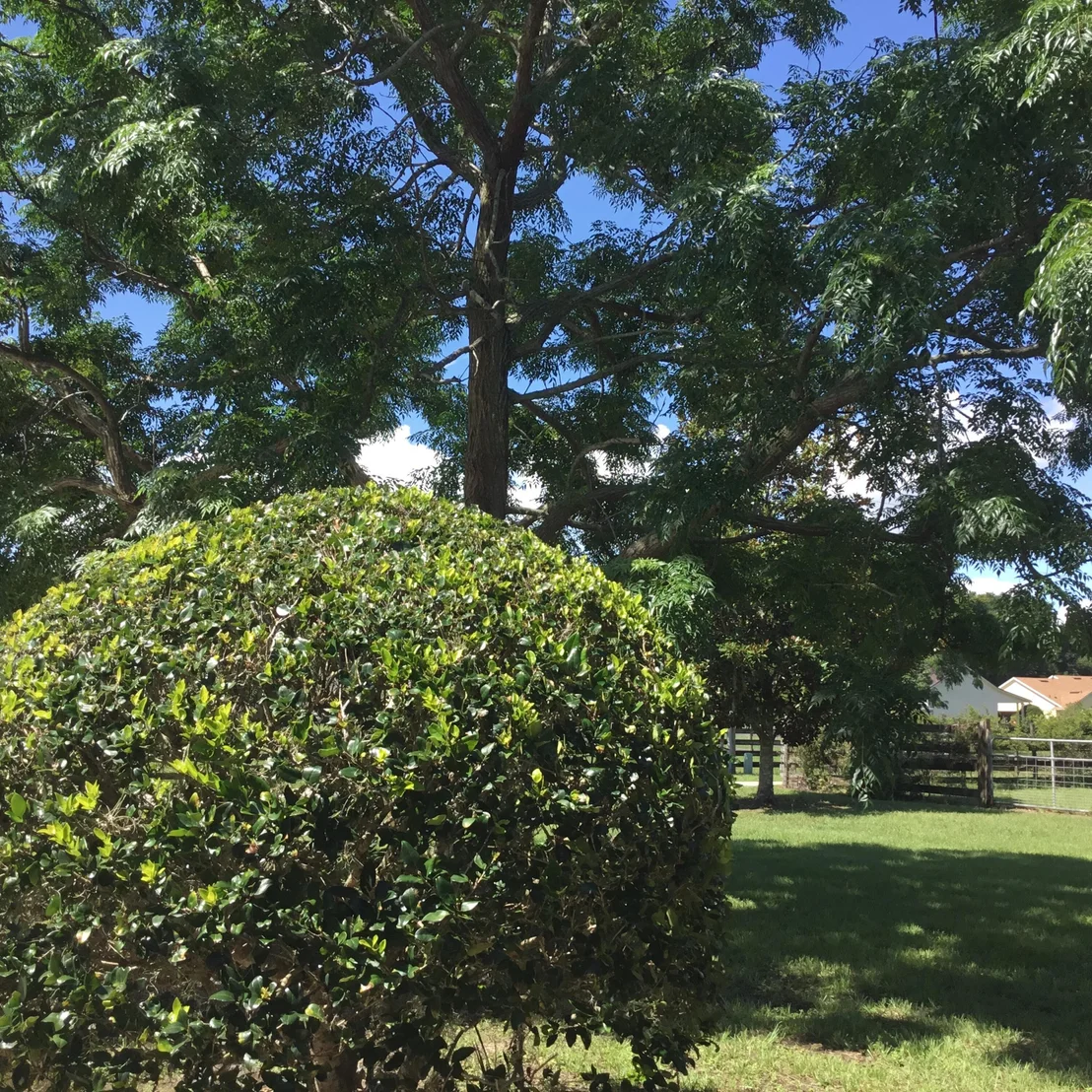 Photo of 5657 Dora Drive