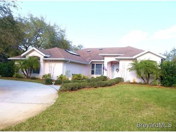 Photo of 4349 Davidia