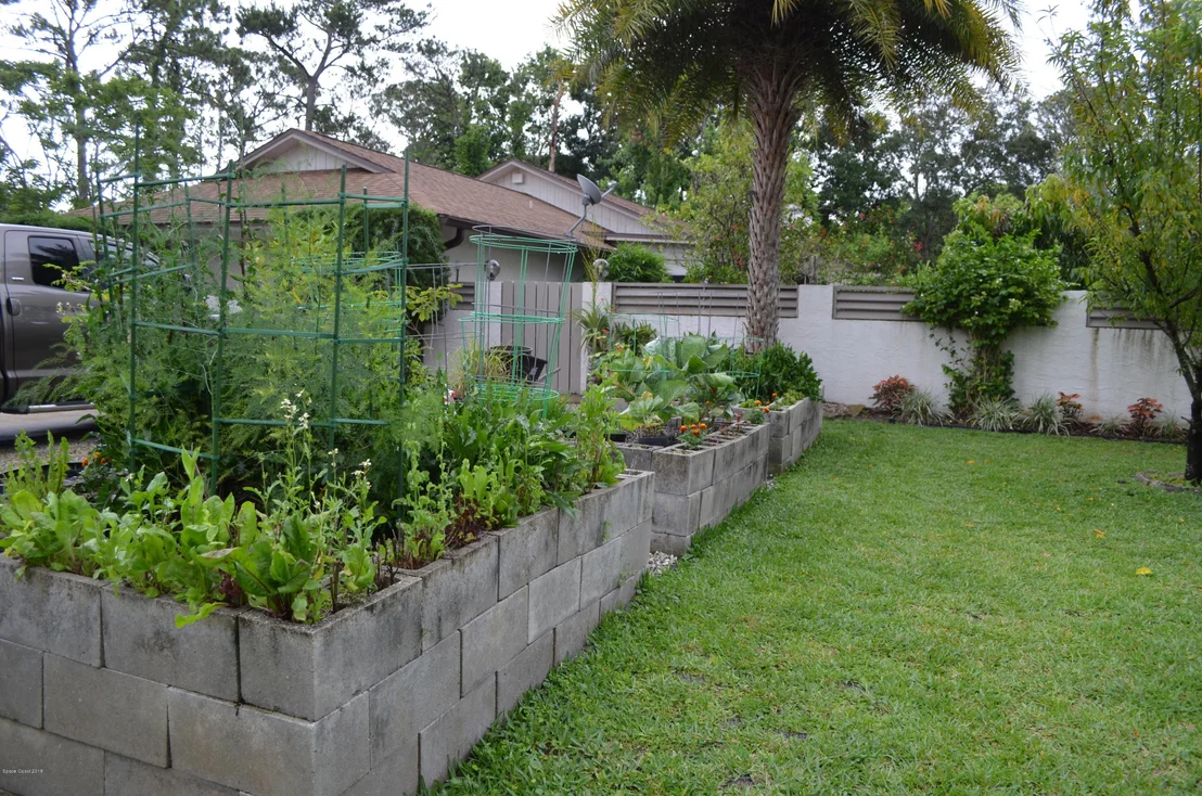 Photo of 1217 Sand Pine Circle