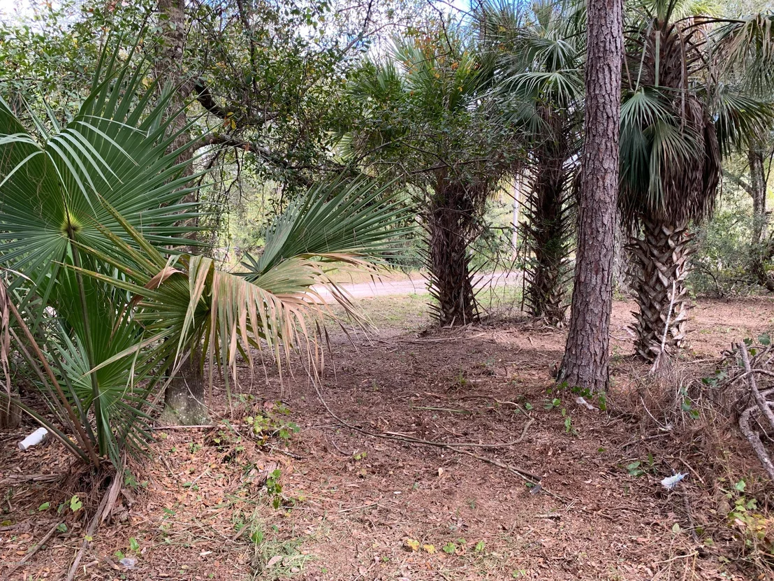 Photo of 2220 Satellite Boulevard