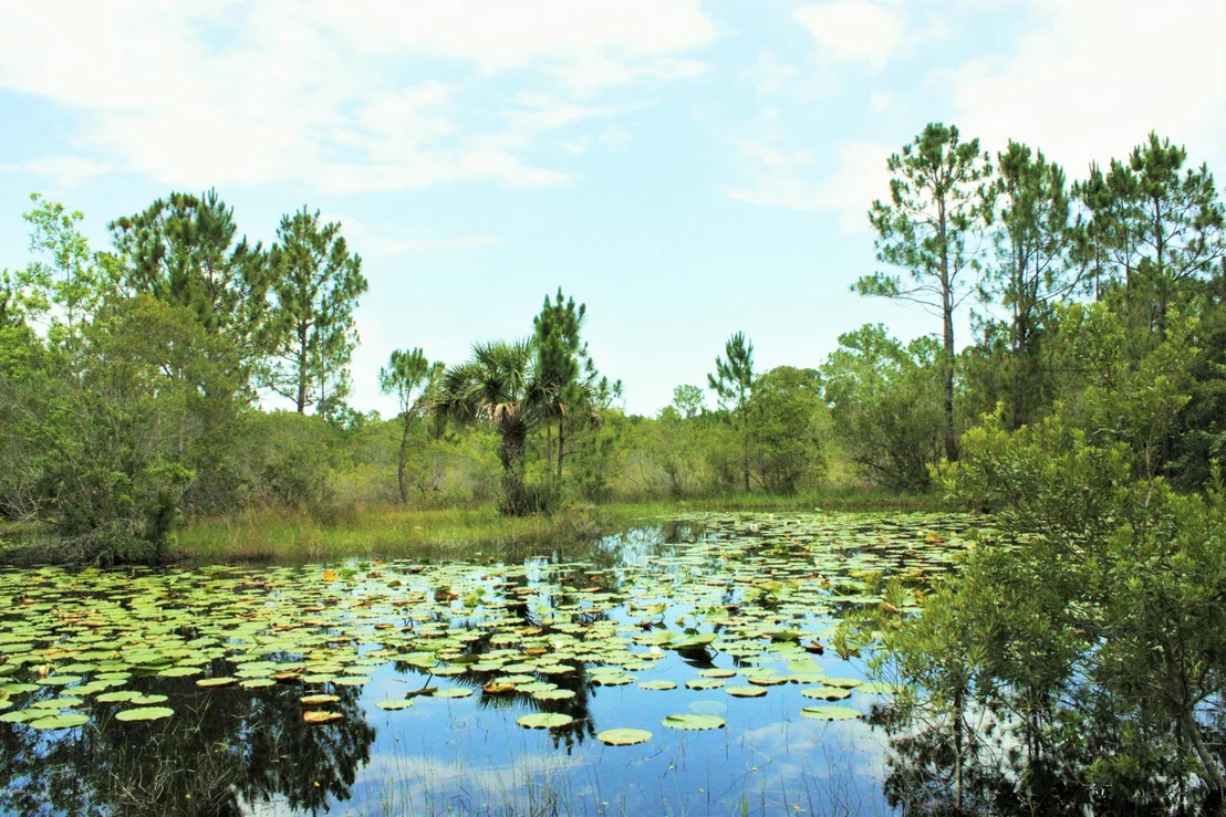 Photo of 2750 Grant Road