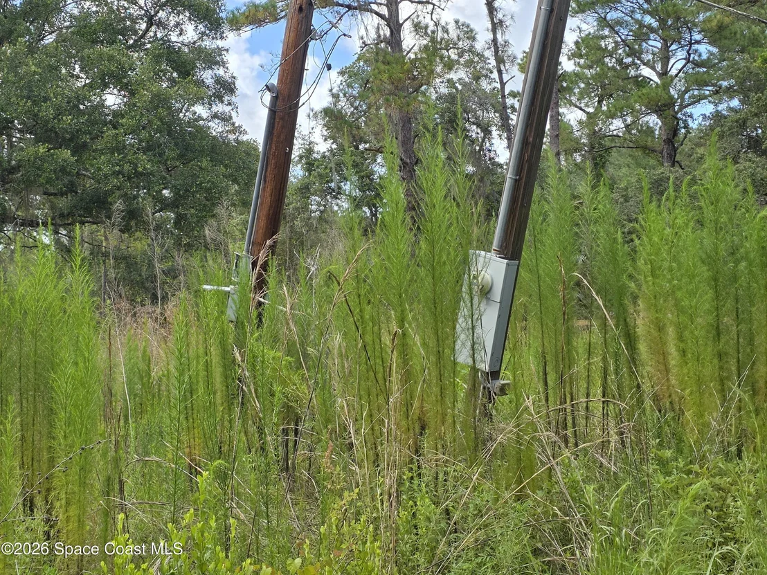 Photo of 4863 Meadow Green Road