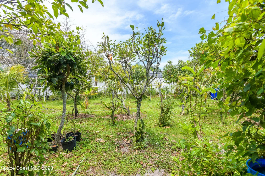 Photo of 1291 Tamango Drive