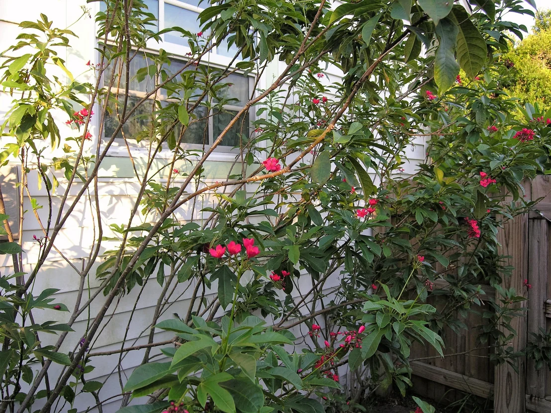 Photo of 736 Aurora Road