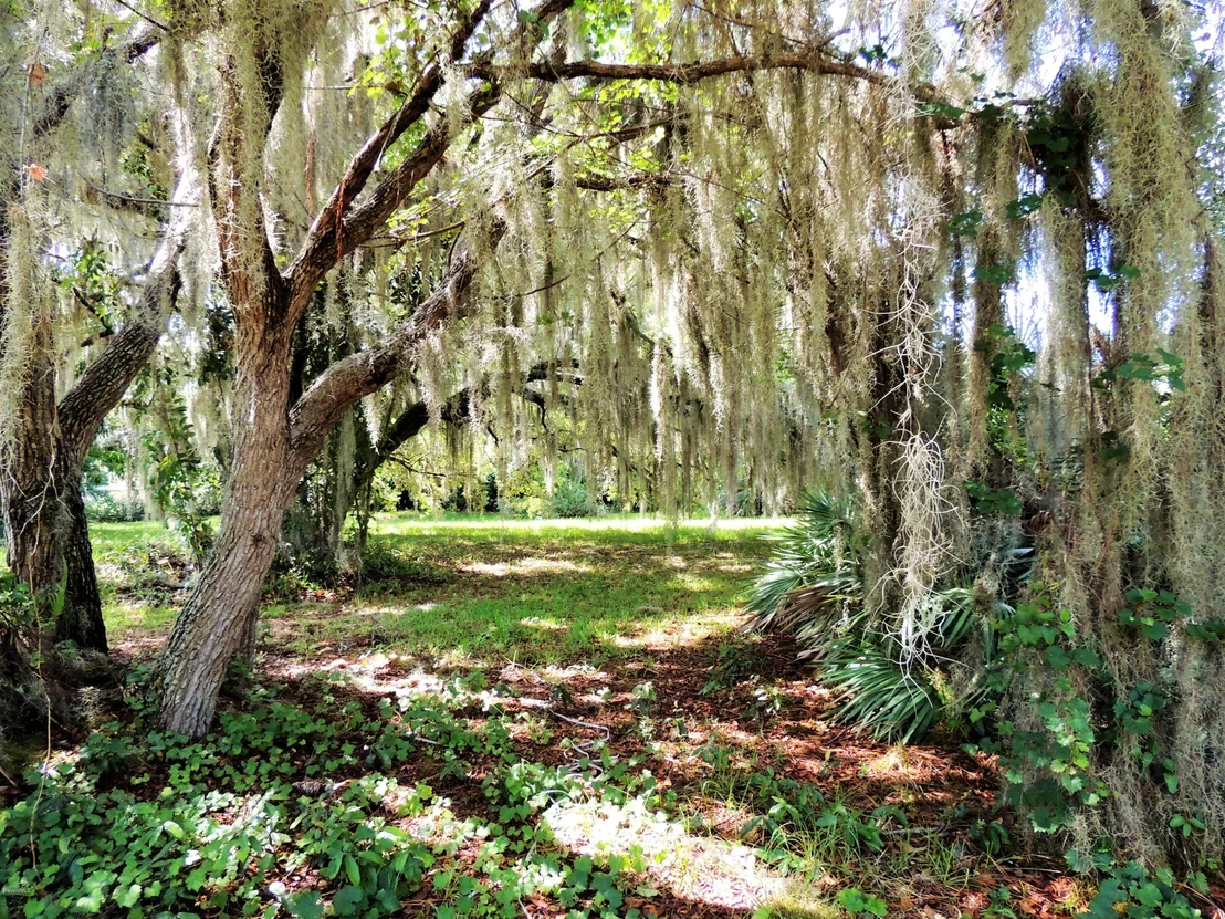 Photo of 3570 Turtle Mound Road