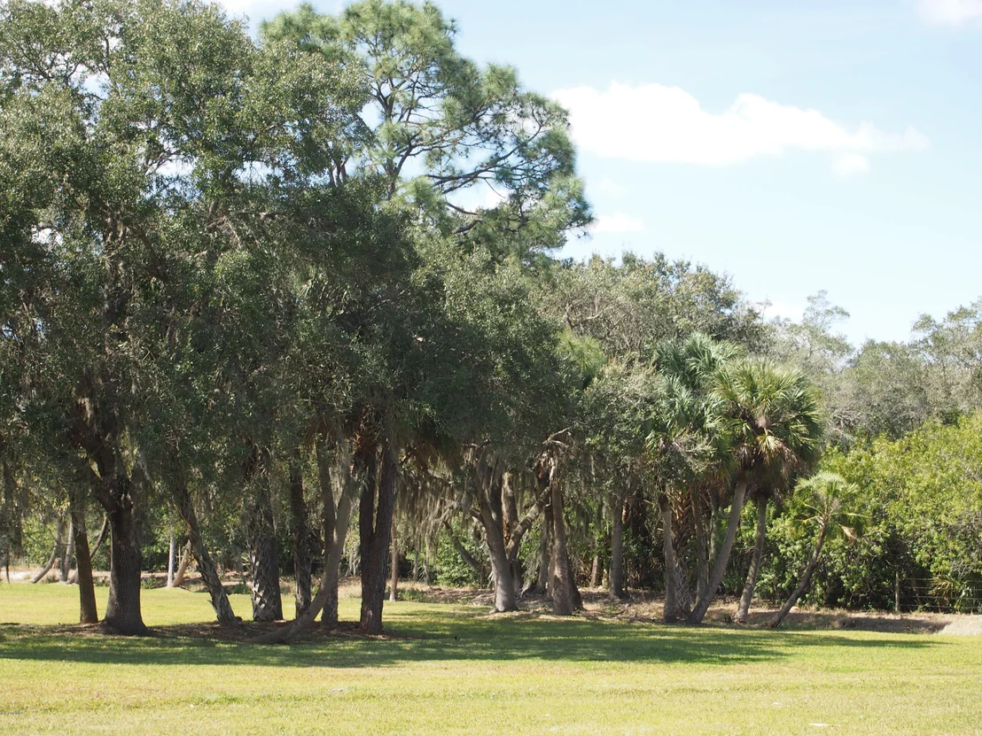 Photo of 5268 Critter Lane