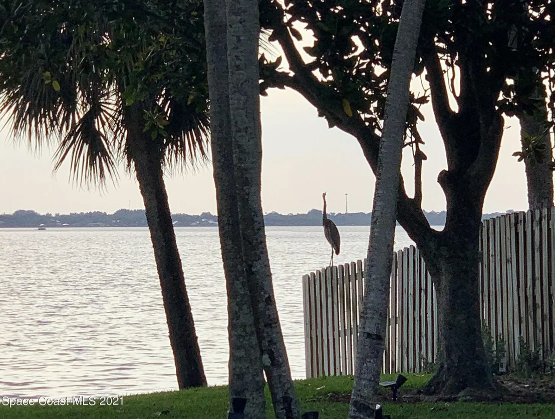 Photo of 242 River Walk Drive