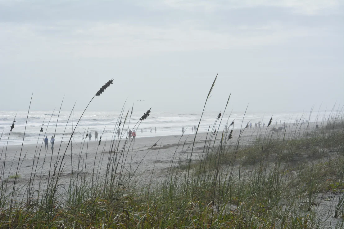 Photo of Unit C2 at 5000 Ocean Beach Boulevard