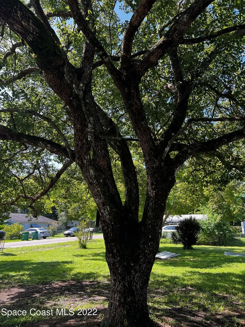 Photo of 3328 Brevard Road