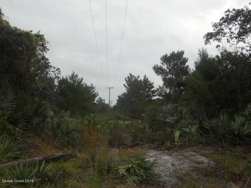 Photo of 0000 Old Dixie Highway