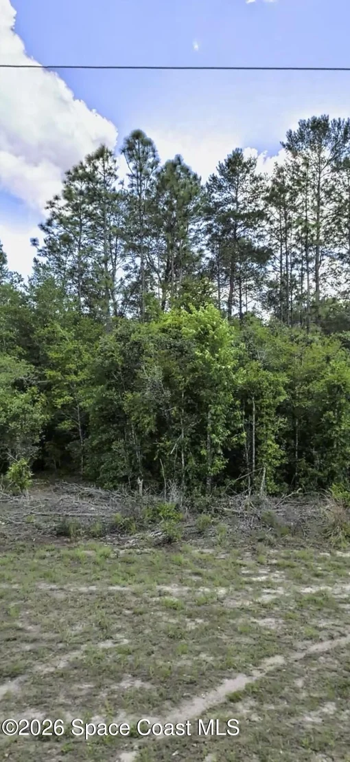 Photo of 9606 N Lecanto Highway