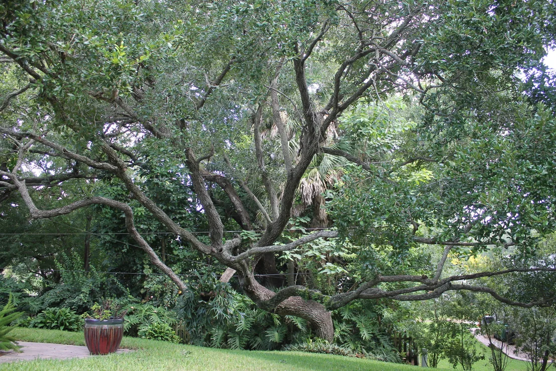 Photo of 3212 Buckingham Lane