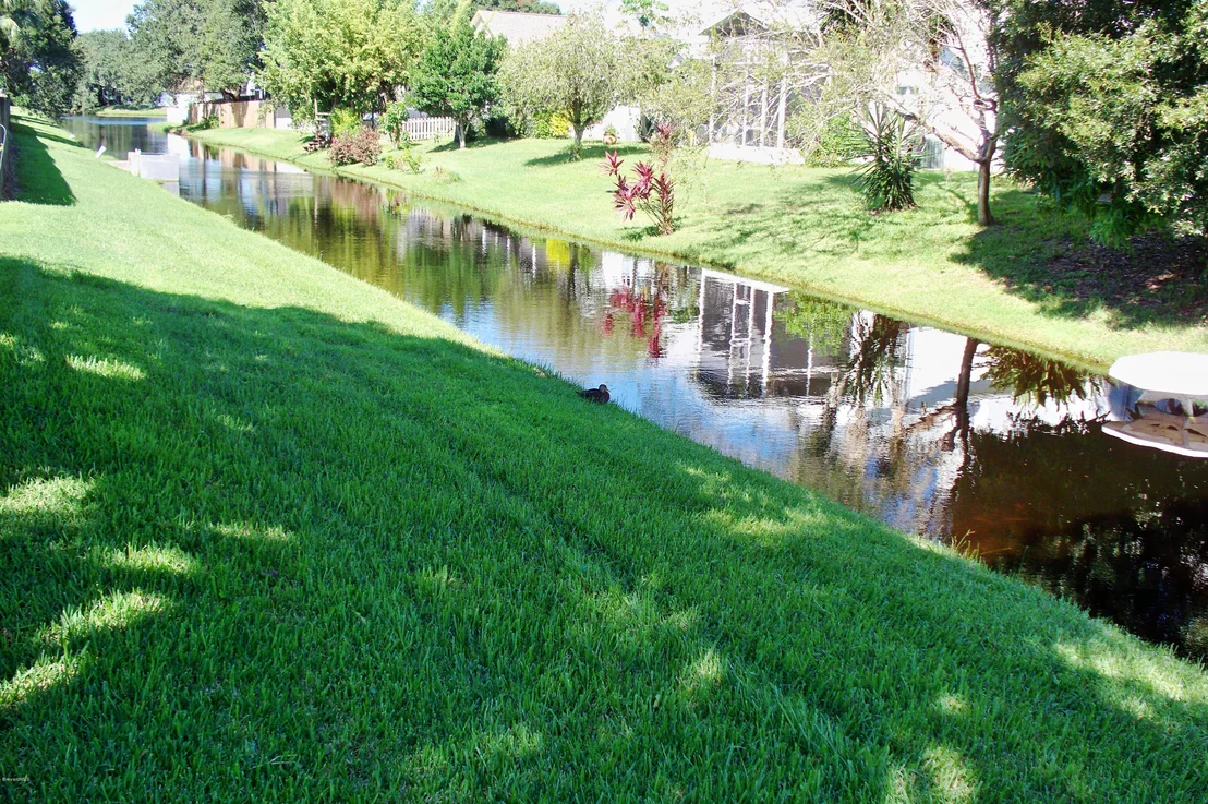Photo of 2680 Forest Run Drive