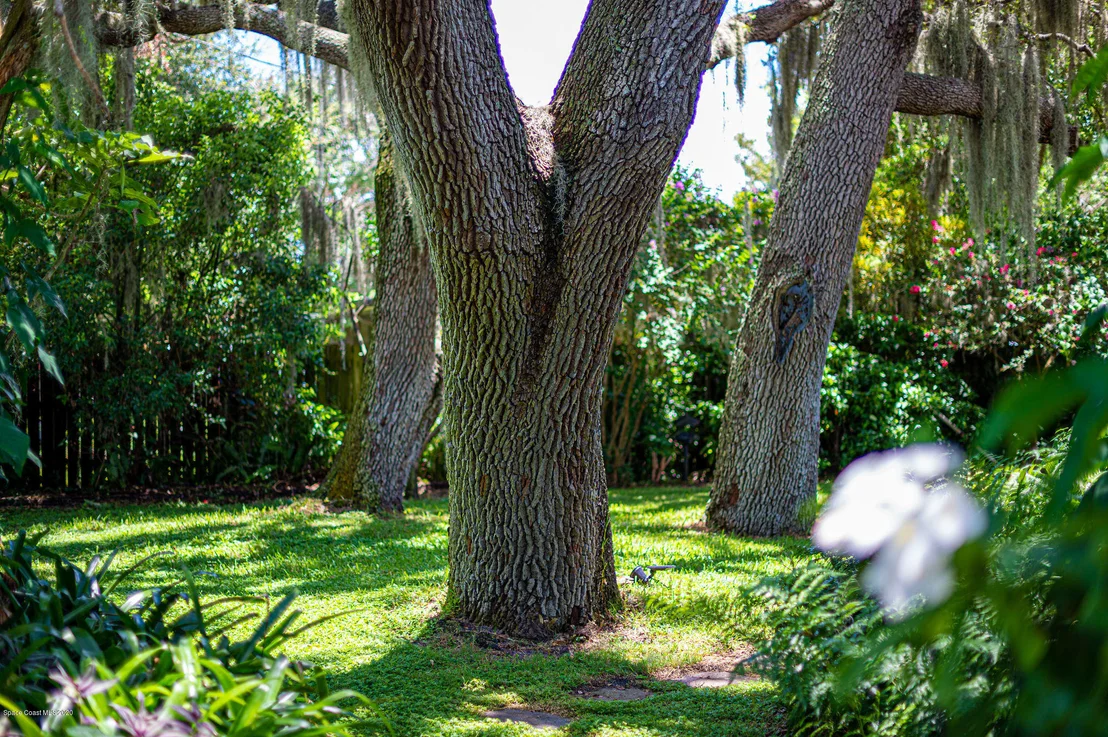 Photo of 2304 Macfarland Drive